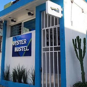 Oyster Hostel